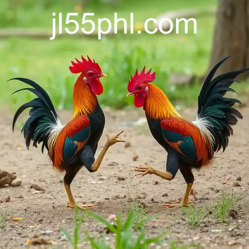 Exploring the World of Sabong Games and the Influence of jl55